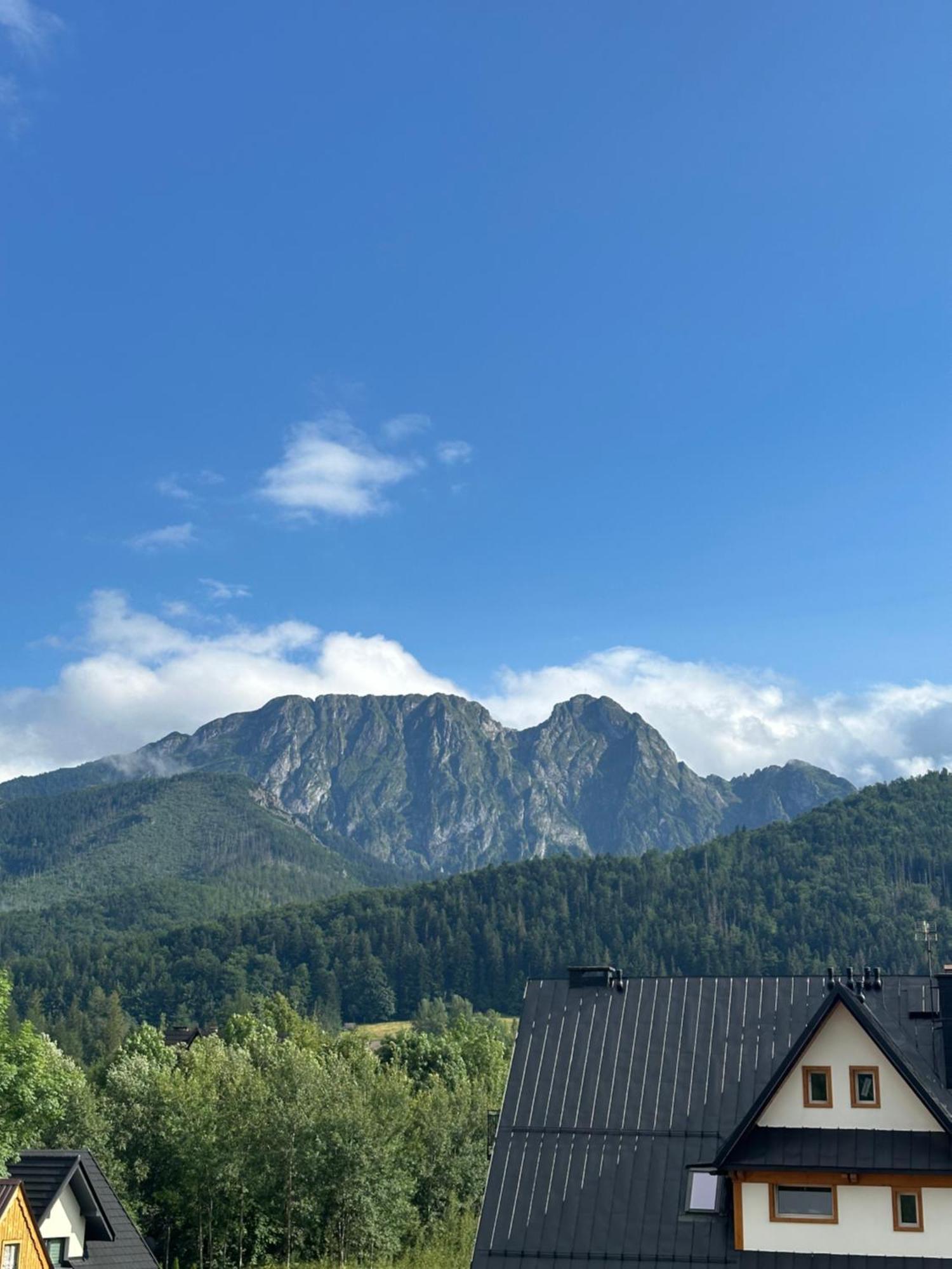 Willa Szafran Zakopane Kültér fotó