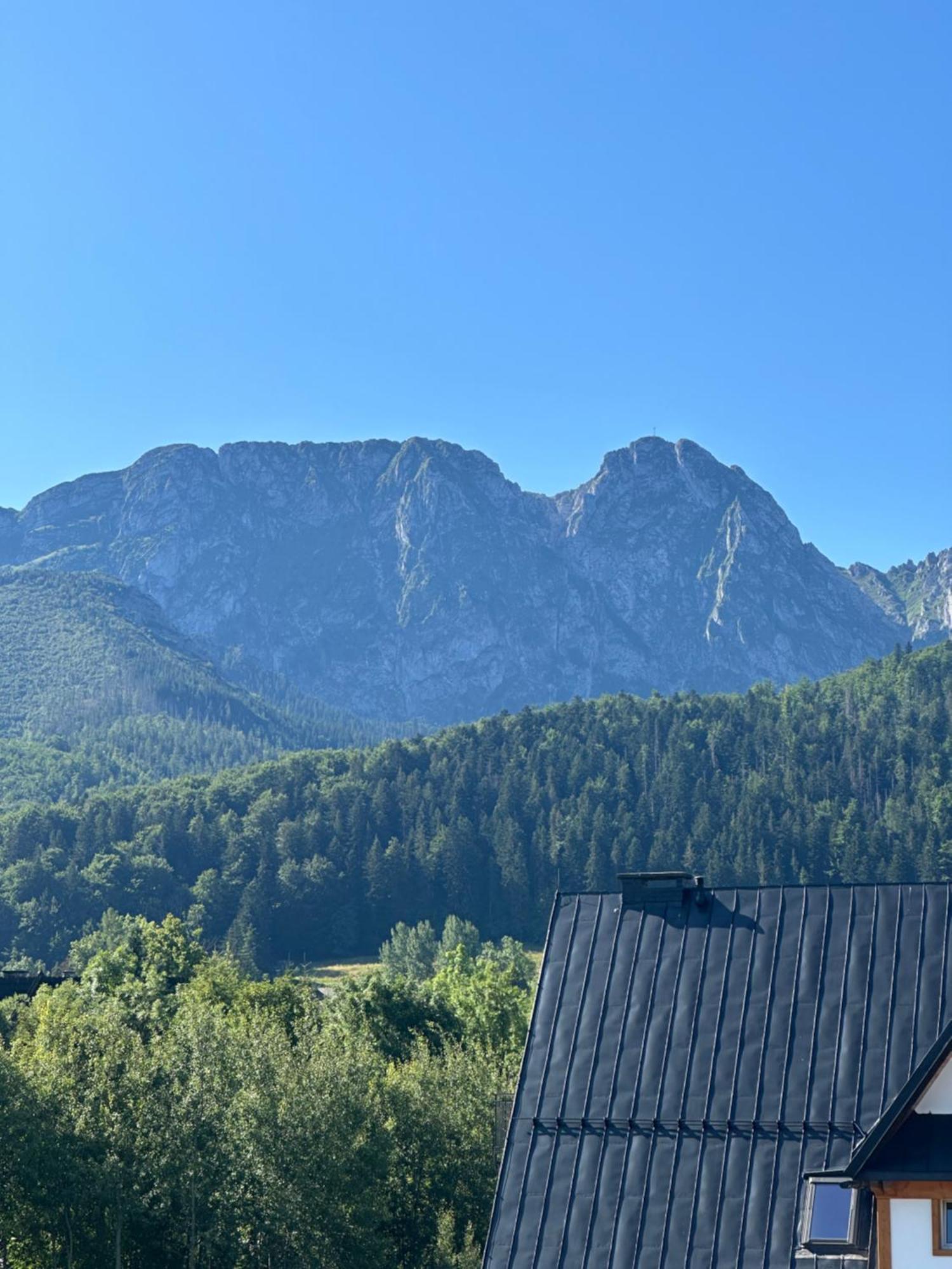 Willa Szafran Zakopane Kültér fotó